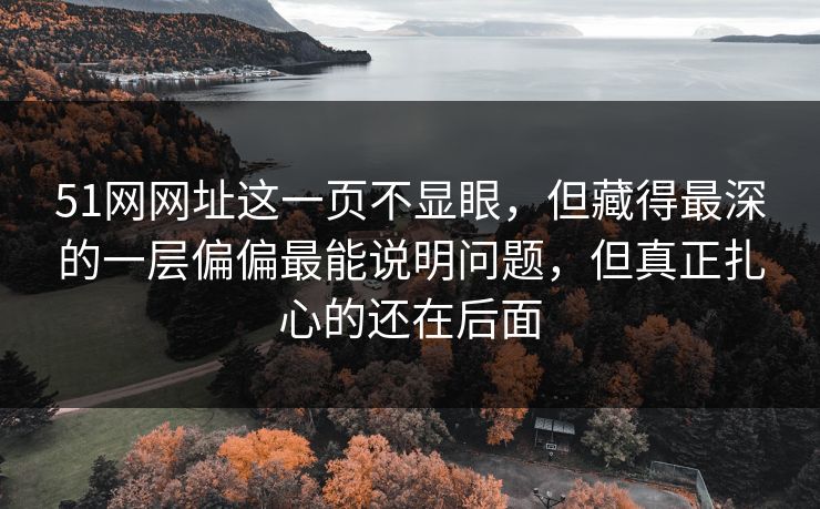 51网网址这一页不显眼，但藏得最深的一层偏偏最能说明问题，但真正扎心的还在后面